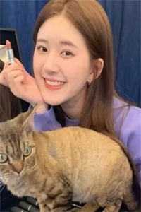 精选篇章官途：从基层科长到权力巅峰