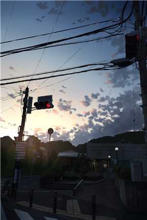 谢停舟沈妤小说全集小说阅读