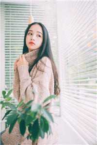 过分贪恋是什么名字