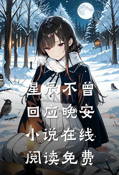 星辰不曾回应晚安小说在线阅读免费