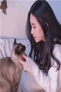 完整篇章沈漾战妄小说全文免费阅读