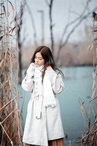谢停舟沈妤小说免费阅读完整阅读