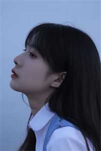 精品阅读沈鹿溪沈时砚的小说免费阅读