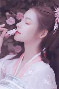 昼夜妄想完整