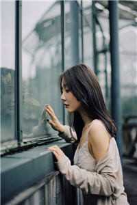 谢停舟沈妤小说精选全文