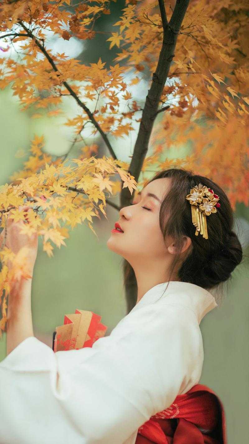 精修版谢停舟沈妤全文免费阅读