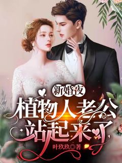 昼夜妄想小说的结局精品选集