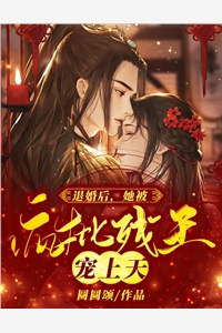 昼夜妄想沈漾战妄大结局