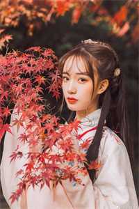 战妄沈漾结局全本小说推荐
