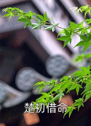 天灾！我囤满粮仓救了一帮大佬试读