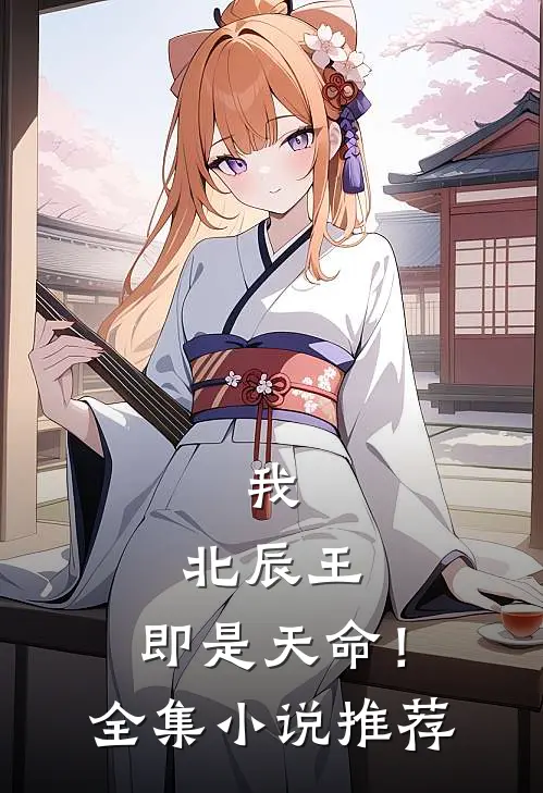 我,北辰王,即是天命!全集推荐免费阅读