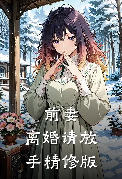 前妻,离婚请放手精修版
