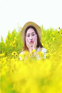 完整篇章引凤台沈妤全文免费阅读