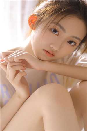 优秀文集沈妤谢停舟小说