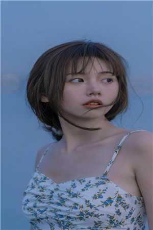 引凤台无删减+无广告