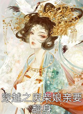 官途：从基层科长到权力巅峰袁颖赵舒大结局