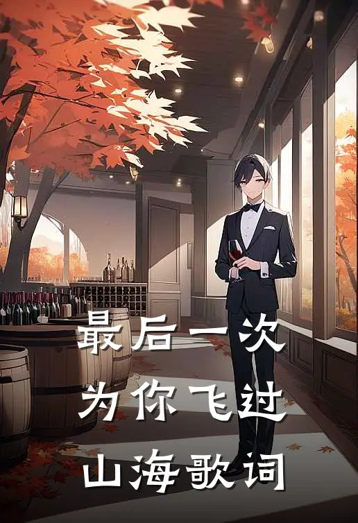 最后一次为你飞过山海歌词