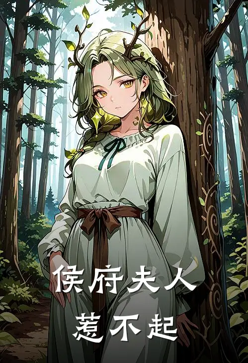 侯府夫人惹不起