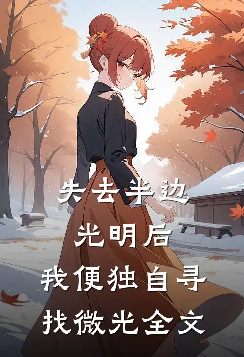 失去半边光明后,我便独自寻找微光全文阅读