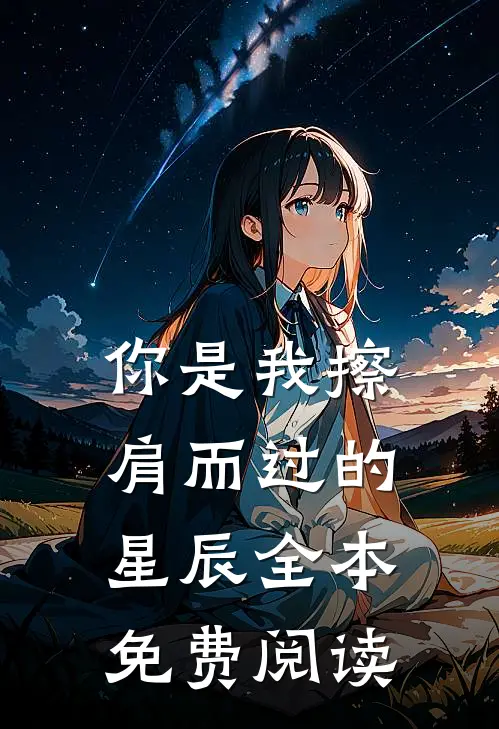 你是我擦肩而过的星辰全本免费阅读