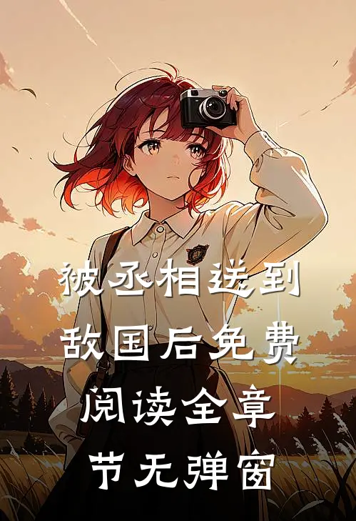 被丞相送到敌国后免费阅读全章节无弹窗