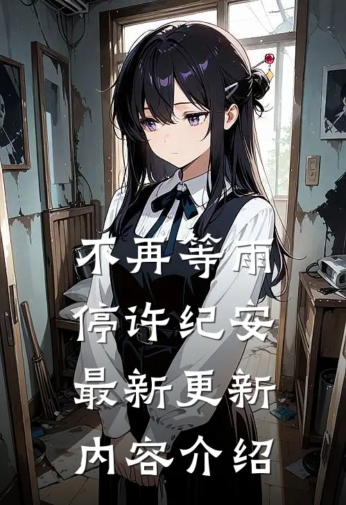 不再等雨停许纪安最新更新内容介绍