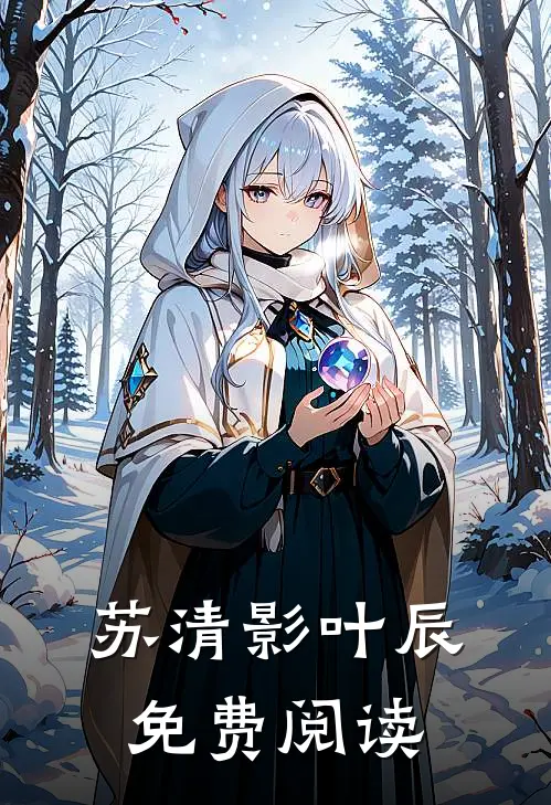 苏清影叶辰免费阅读
