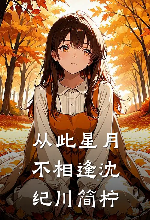 从此星月不相逢沈纪川简柠