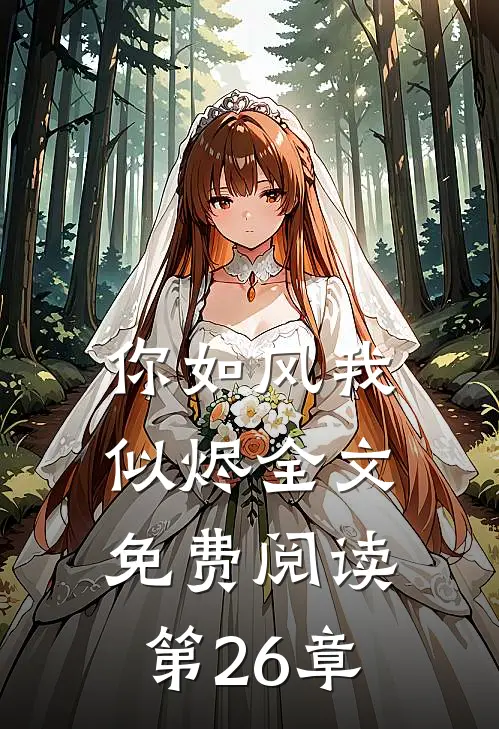 你如风我似烬全文免费阅读第26章