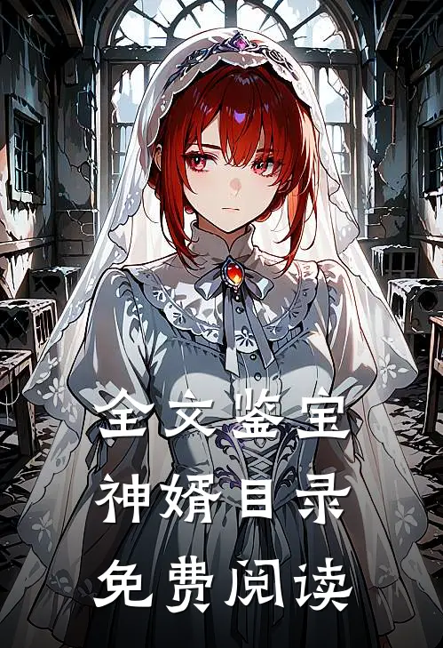 全文鉴宝神婿目录免费阅读
