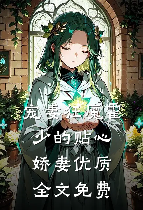 宠妻狂魔霍少的贴心娇妻优质全文免费
