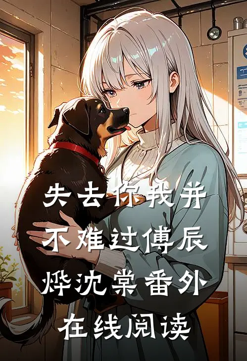 失去你我并不难过傅辰烨沈棠番外在线阅读