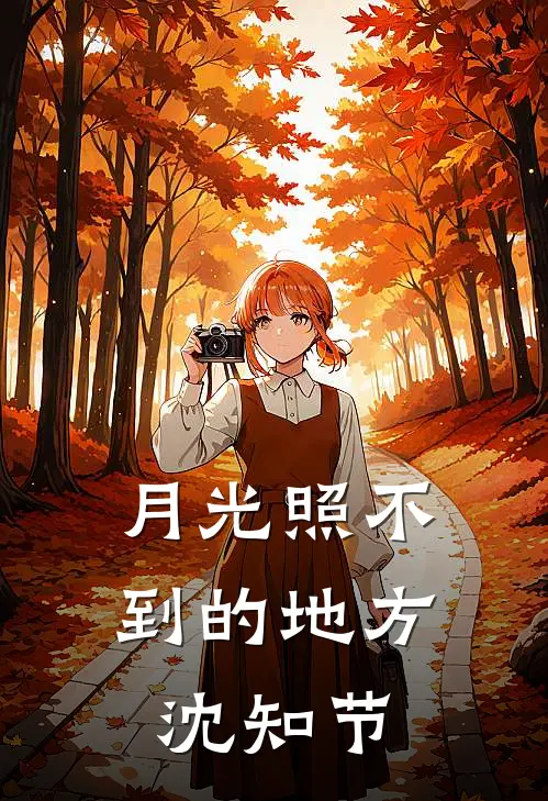 月光照不到的地方沈知节
