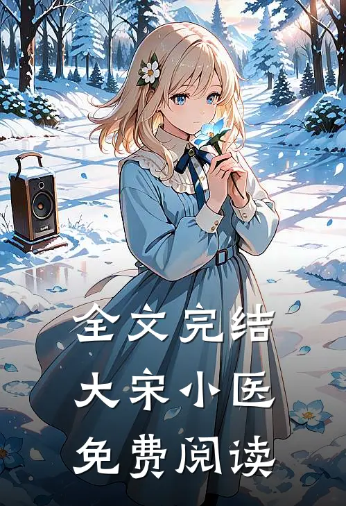 全文完结大宋小医免费阅读