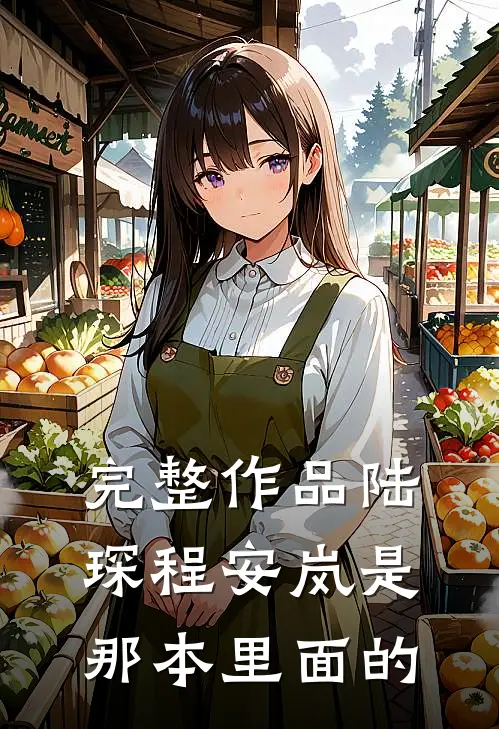 完整作品陆琛程安岚是那本里面的