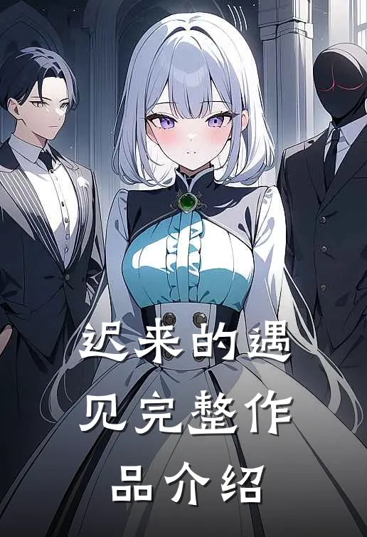 迟来的遇见完整作品介绍