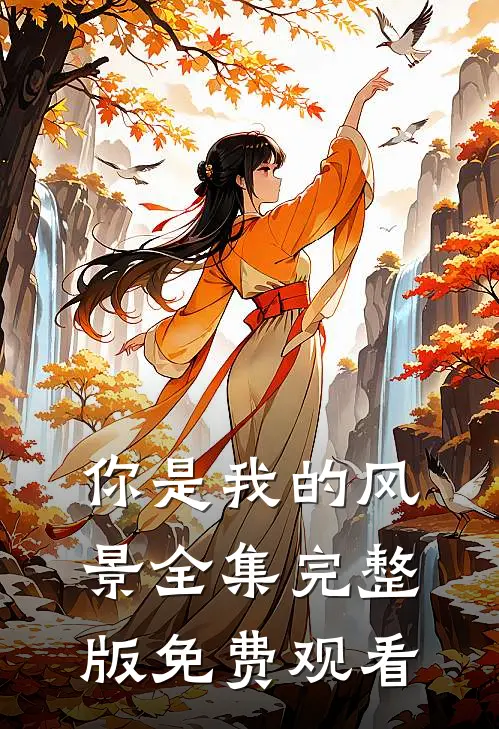 你是我的风景全集完整版免费观看