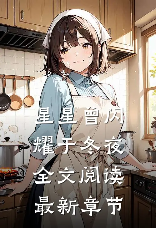 星星曾闪耀于冬夜全文阅读最新章节