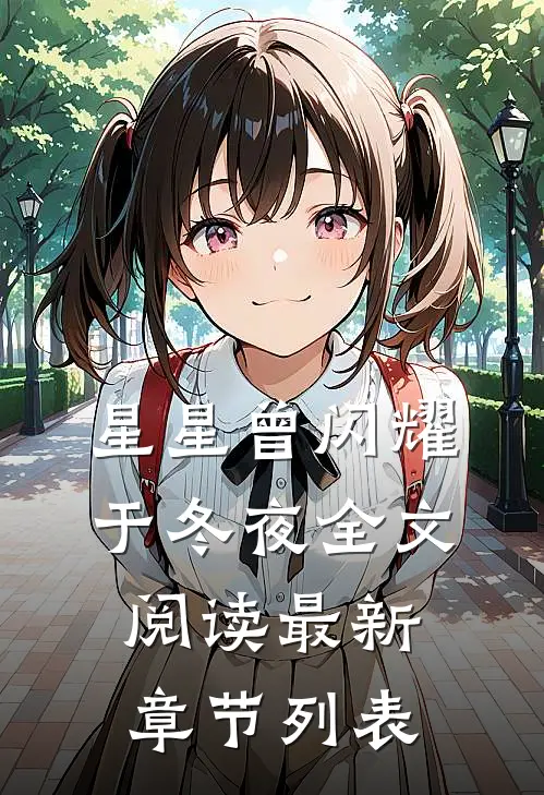 星星曾闪耀于冬夜全文阅读最新章节列表