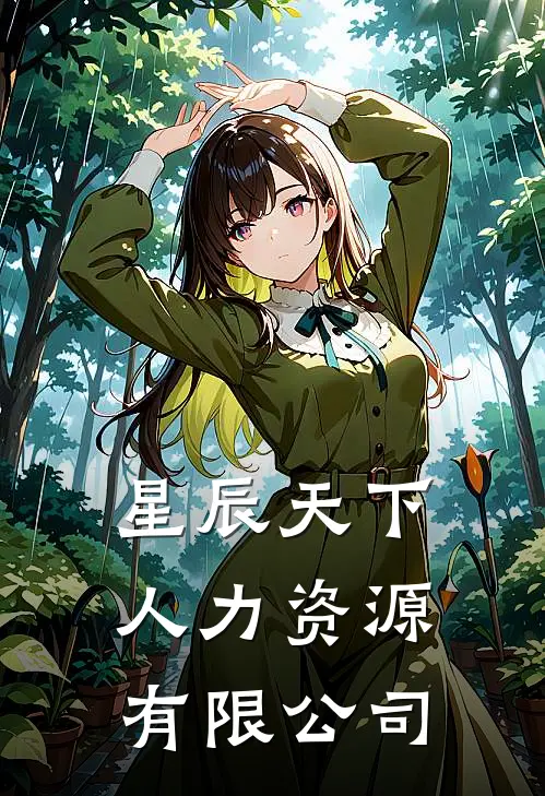 星辰天下人力资源有限公司