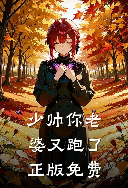 少帅你老婆又跑了正版免费