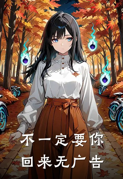 不一定要你回来无广告