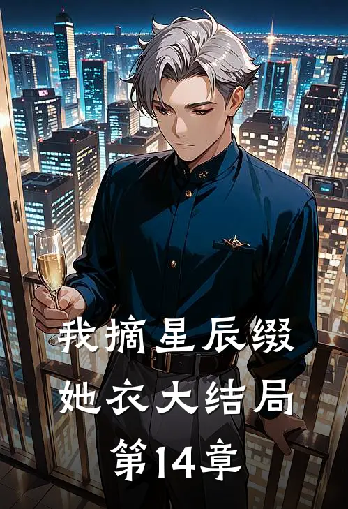 我摘星辰缀她衣大结局第14章