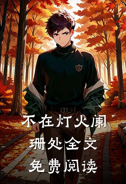 不在灯火阑珊处全文免费阅读