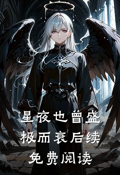 星夜也曾盛极而衰后续免费阅读