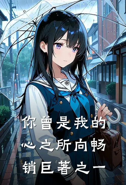 你曾是我的心之所向畅销巨著之一