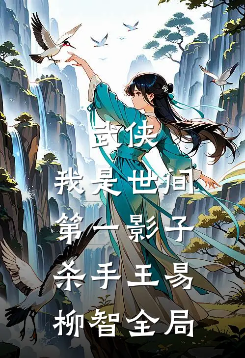 武侠：我是世间第一影子杀手王易柳智全局