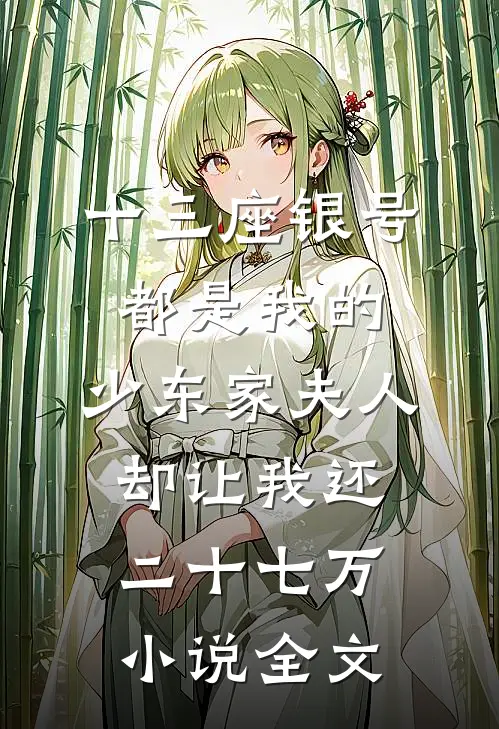 十三座银号都是我的，少东家夫人却让我还二十七万小说全文
