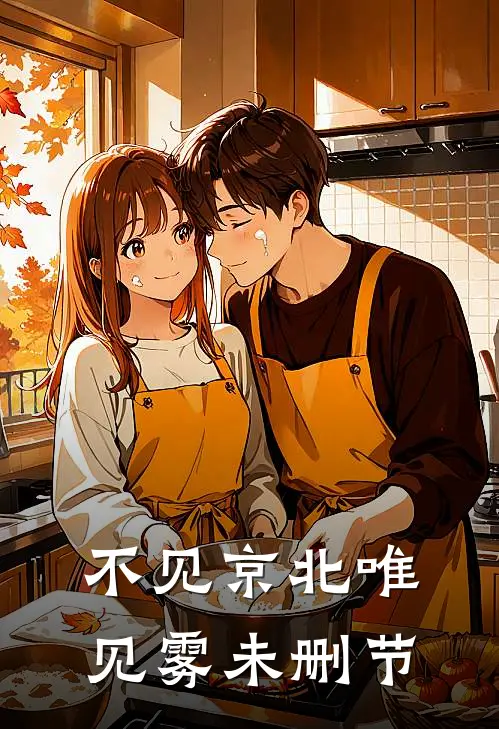 不见京北唯见雾未删节