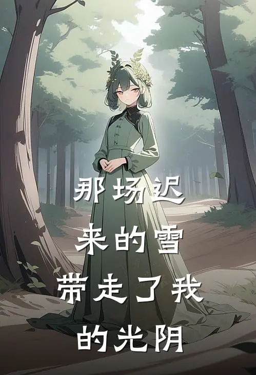 那场迟来的雪,带走了我的光阴是歌